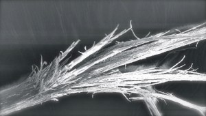 -chem_damaged_hair 2