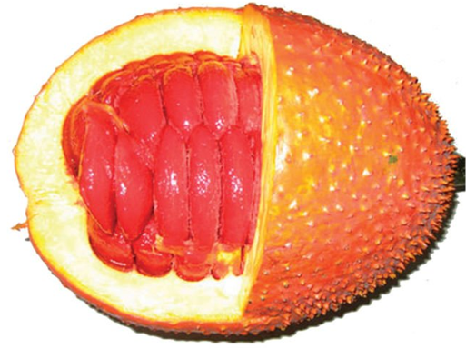 Screen Shot 2013-11-25 at 10.15.24 PM