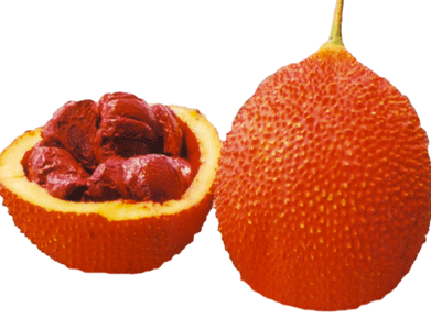 Screen Shot 2013-11-25 at 10.15.39 PM