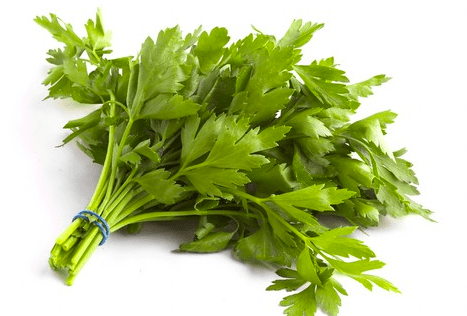 Screen Shot 2014-03-31 at 12.50.05 PM