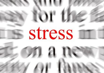 What happens to our body when we are&nbsp;stressed