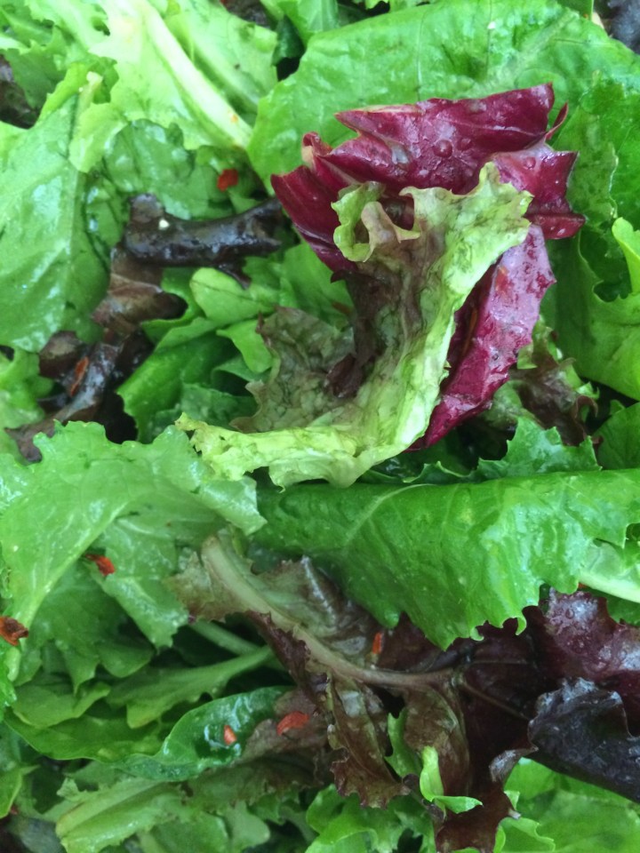 How To Make Your Salad Uber-Delish! (And&nbsp;Healthy)