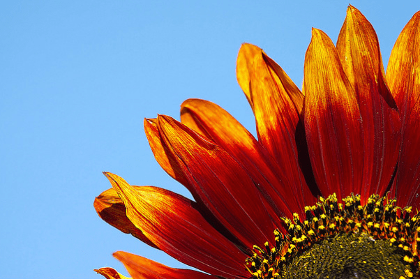 Screen Shot 2015-01-13 at 11.27.29 AM