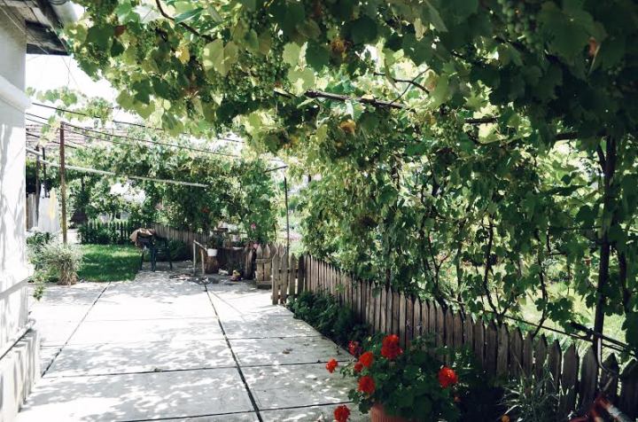 Processed with VSCOcam with j1 preset