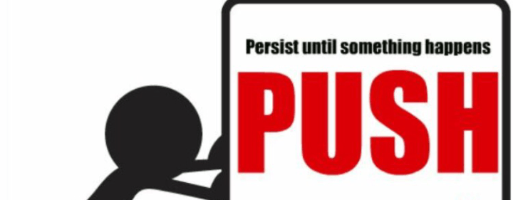 Vida HArgrett PUSH Persist until Something Happens Mrs florida united states