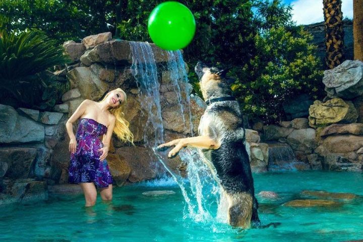 ana braga ana braga ana braga photo ana braga adoption pet advocacy