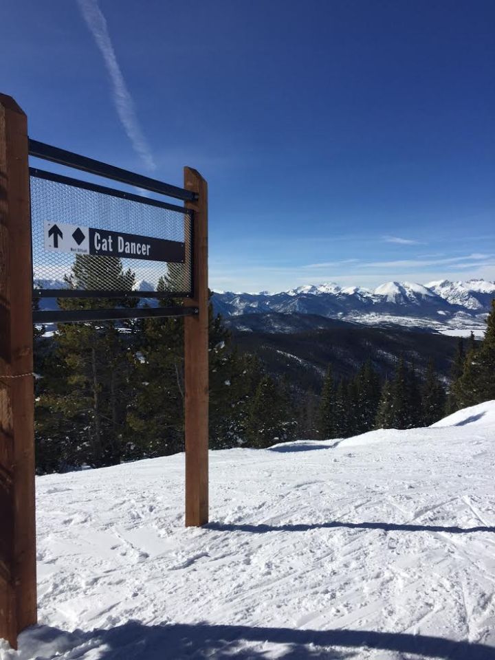 keystone colorado cat dancer