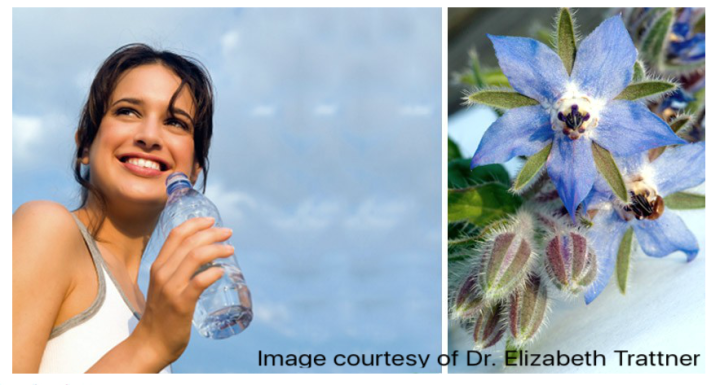 Winterizing Skincare