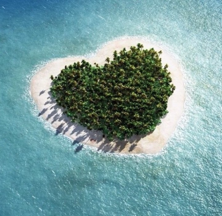 What is the Dirty&nbsp;Dozen?