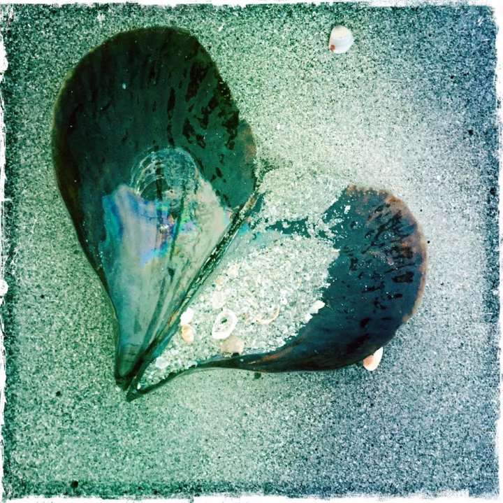 Screen Shot 2016-06-08 at 3.37.09 PM